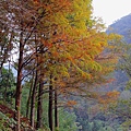 IMG_6497.jpg