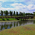 IMG_9276.jpg