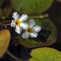 IMG_9323.jpg