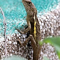 IMG_7760.jpg