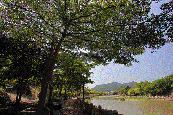 IMG_6316.gif