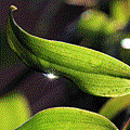 IMG_6204.gif