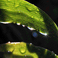 IMG_6214.gif