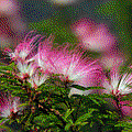 IMG_6350.gif