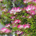 IMG_6353.gif