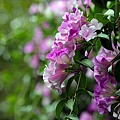 IMG_3002.jpg