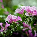 IMG_3004.jpg