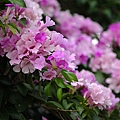 IMG_1614.jpg