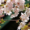 IMG_5836.jpg