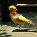 IMG_3524.jpg