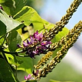 IMG_2576.jpg