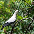 IMG_7128.jpg