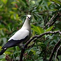 IMG_7130.jpg