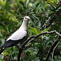 IMG_7131.jpg