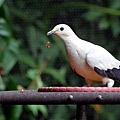 IMG_7186.jpg