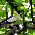 IMG_5309.jpg
