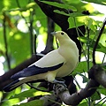 IMG_5310.jpg