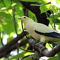 IMG_5313.jpg