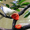 IMG_5319.jpg
