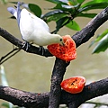 IMG_5320.jpg