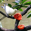 IMG_5321.jpg