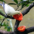 IMG_5322.jpg