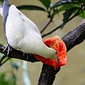 IMG_5323.jpg