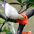 IMG_5324.jpg