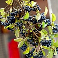 IMG_8982.jpg