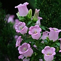 IMG_9348.jpg