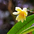 IMG_9387.jpg
