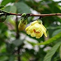 IMG_9384.jpg