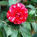 IMG_9398.jpg