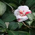 IMG_9397.jpg