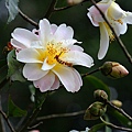 IMG_9407.jpg