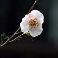 IMG_9420.jpg
