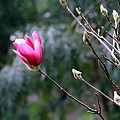 IMG_9409.jpg