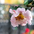 IMG_9479.jpg
