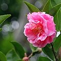 IMG_9487.jpg