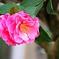 IMG_9490.jpg