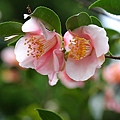 IMG_9503.jpg