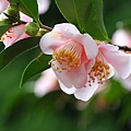 IMG_9502.jpg