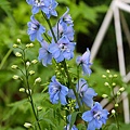 IMG_9524.jpg