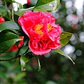 IMG_9569.jpg