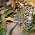 IMG_4686.jpg