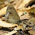 IMG_4713.jpg