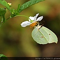 IMG_5617.jpg