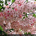 IMG_6435.jpg