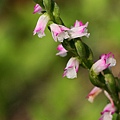 IMG_4270.jpg