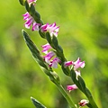 IMG_4266.jpg